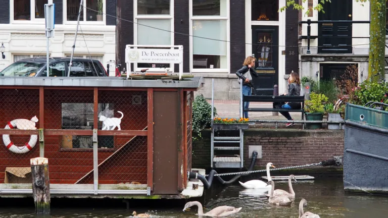 De Poezenboot - Cat Boat in Amsterdam