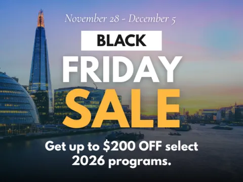 Black Friday Sale