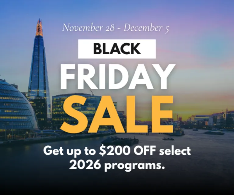 Black Friday Sale