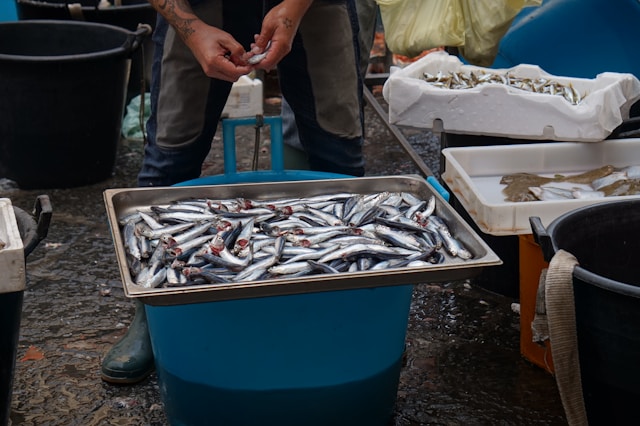 Fish Market (La Pescheria)